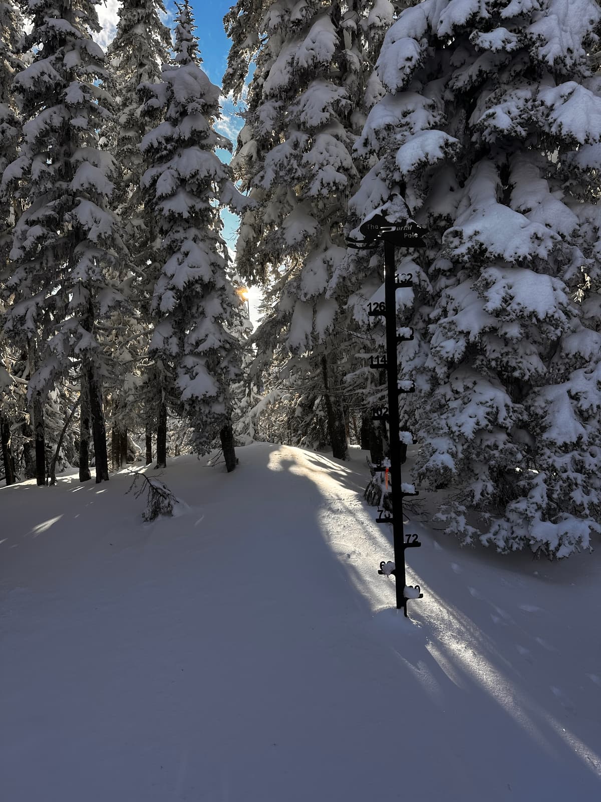 Snow depth varies, but is around 220 cm with 30 - 60 cm of soft snow sitting over the Mid-December crust.