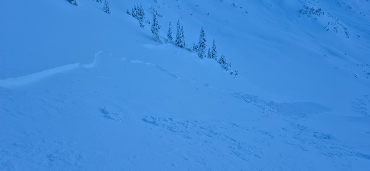 Ski cut sz 1