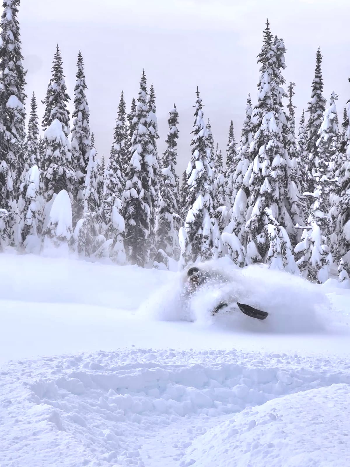  50 cm or more of blower over the Mid-December crust made for the kind of riding only Santa could deliver! 