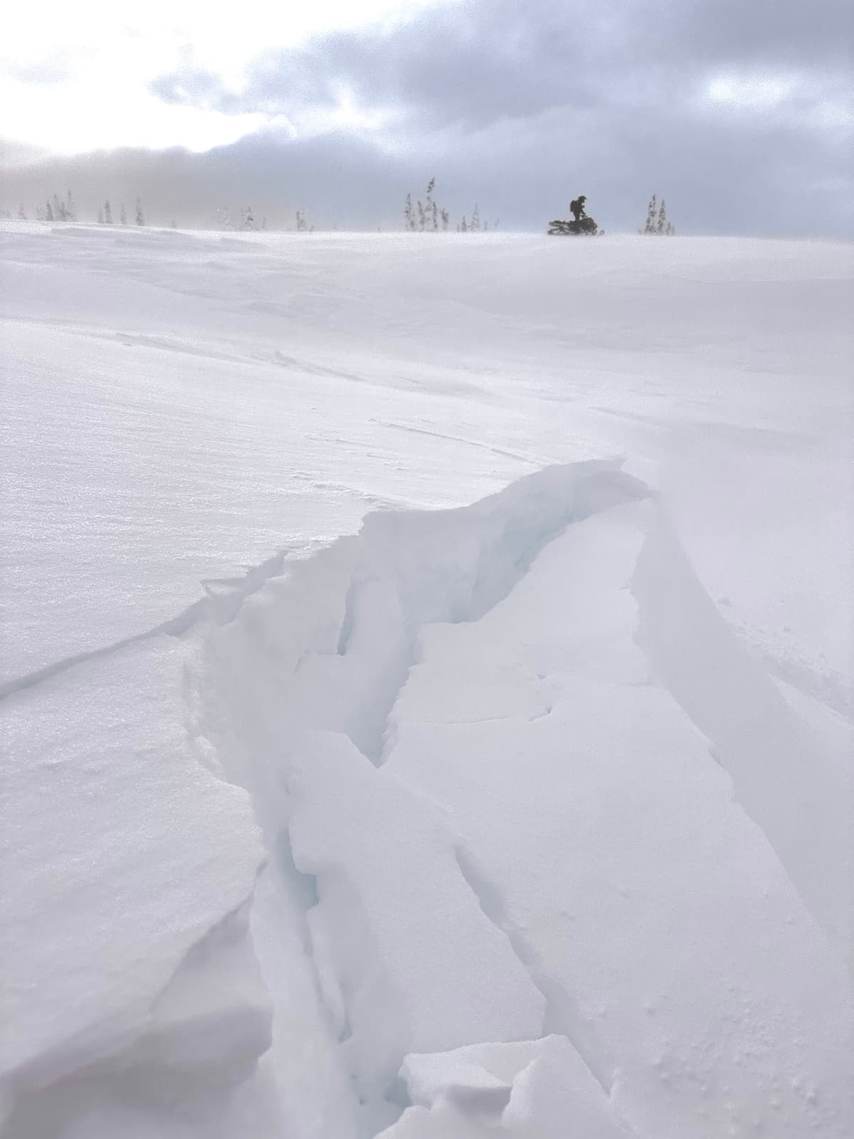 South to west facing slopes had soft but touchy wind slabs about 50 cm deep.  We saw shooting cracks in wind loaded terrain and a small avalanche on a crossloaded feature on the power lines. 