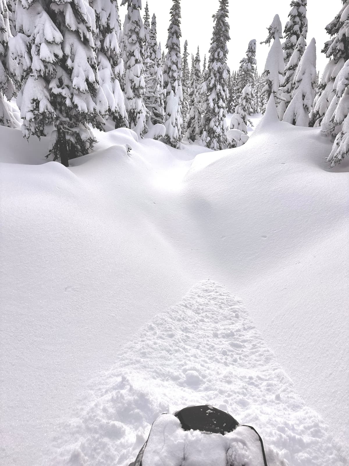 Even the packed trail was deep! We managed to break trail to the peak above the cabin, but it will be drifting back in quickly withy the current conditions. 