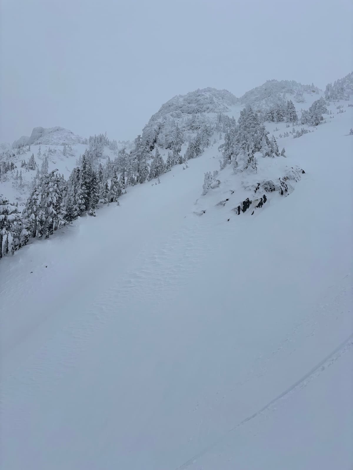 Main guts of W bowl, showing another old wind slab avalanche 