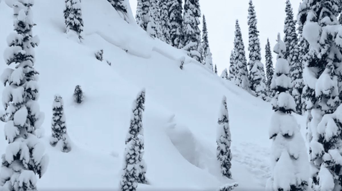 One of many examples of Xmas eve natural avalanches.
