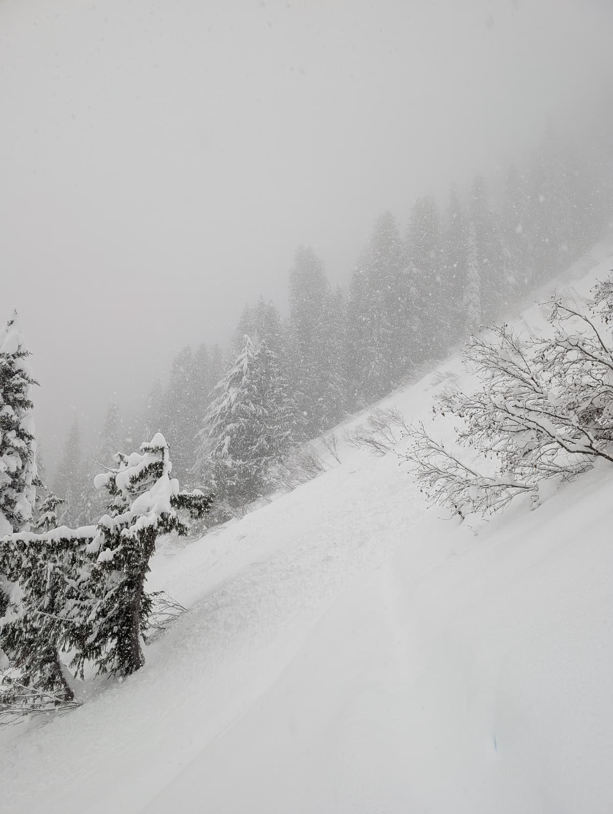 The avalanche 