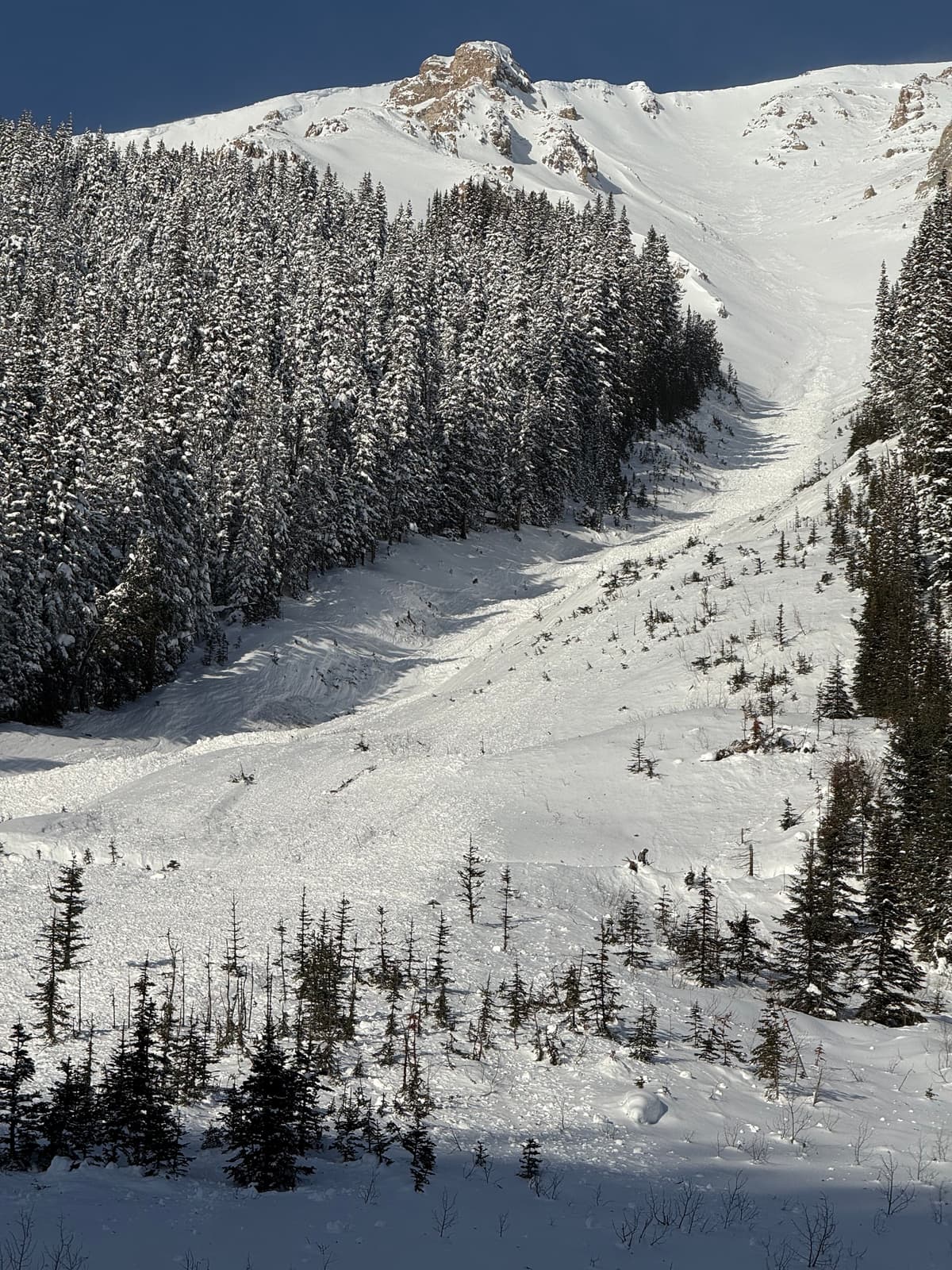 Recent avalanche on the way into the Crossing Creek cabin. Sled track set around/over the debris.