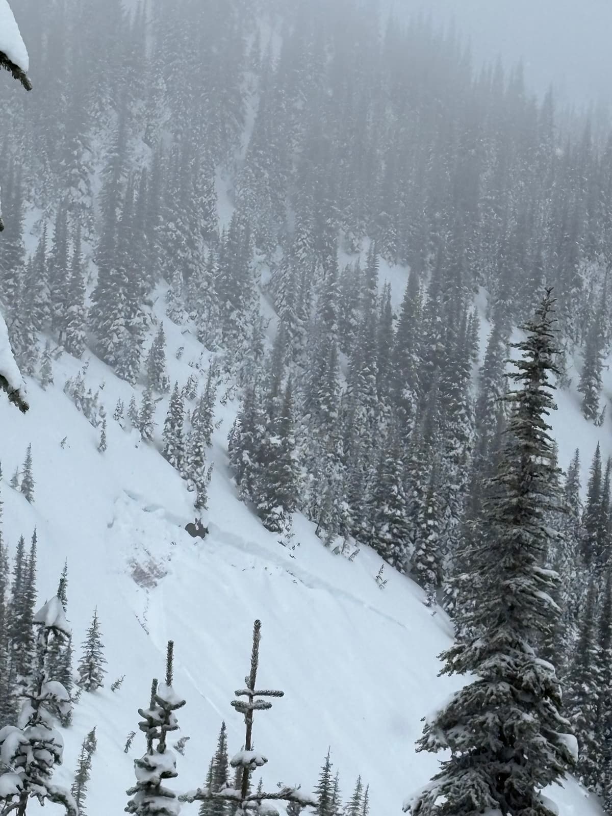 previous slide on E aspect at ~ 2000m