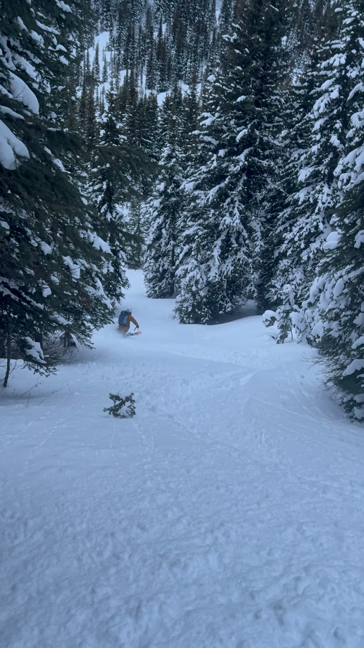 Great turns to be had 