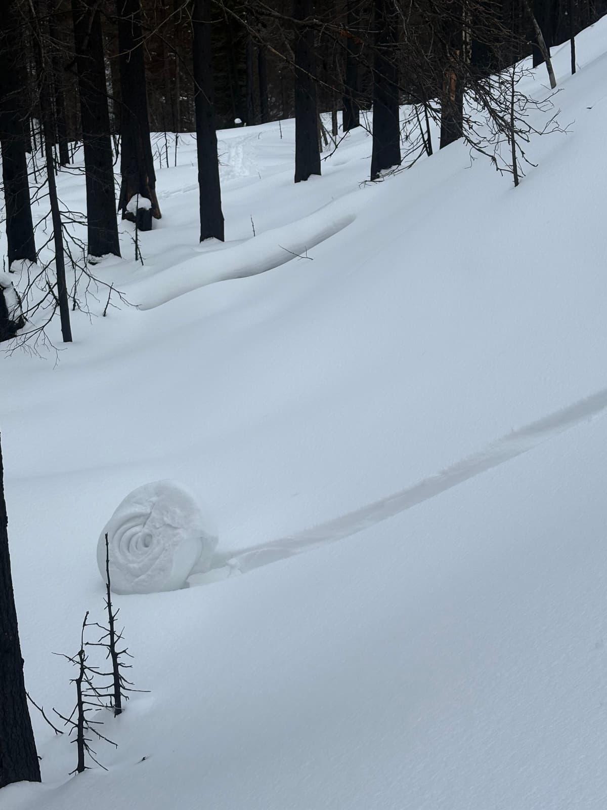 Lots of pinwheeling on our ski in below 1600M 