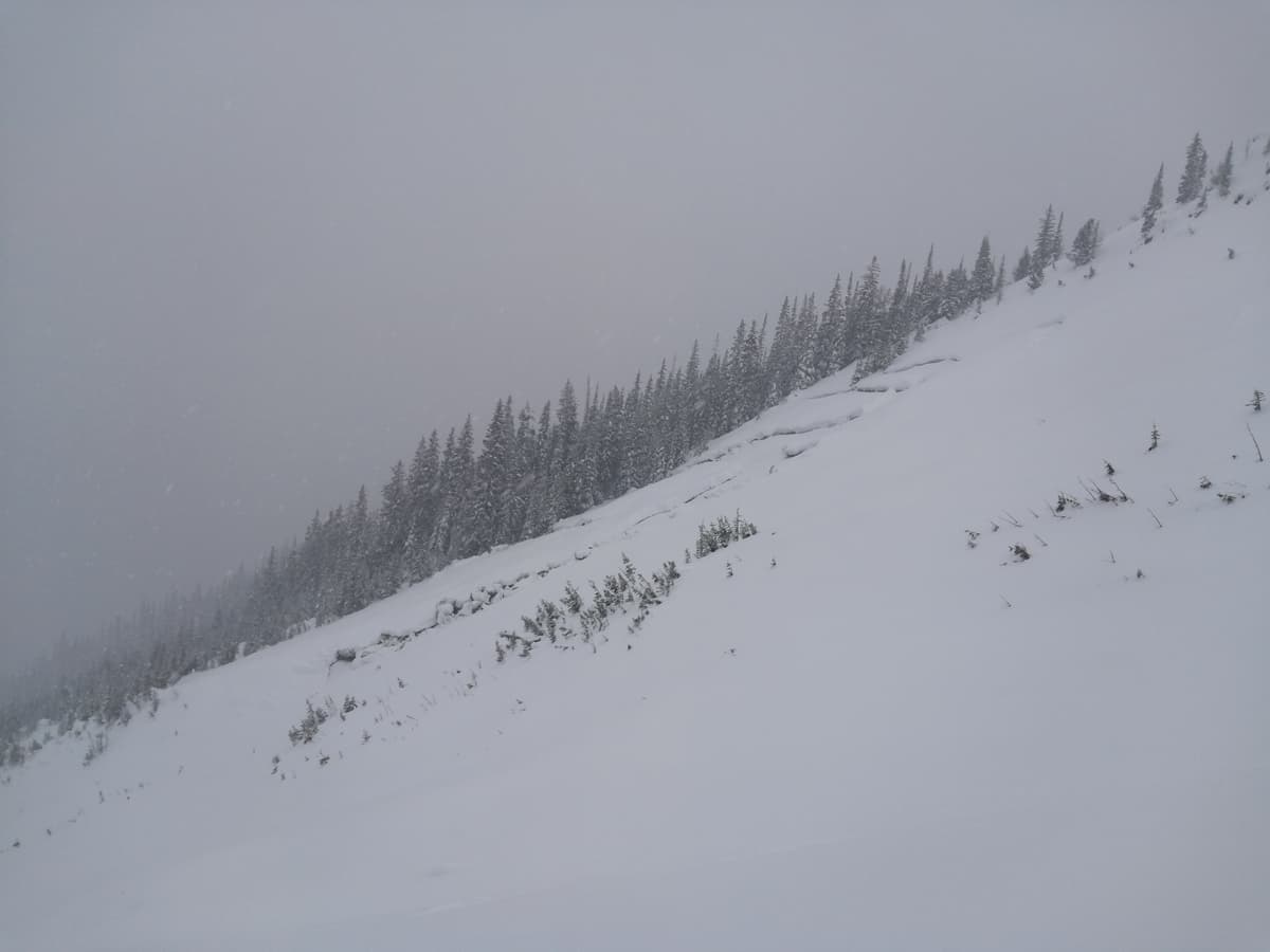 Partially released glide slab. Note folding in bottom left corner.