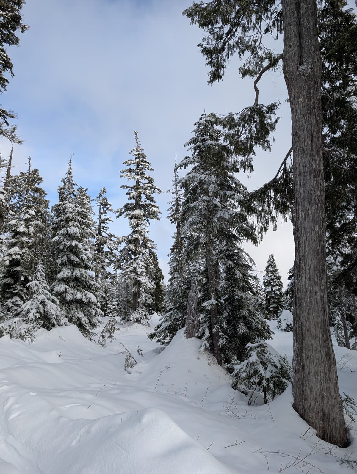 Snow was hard