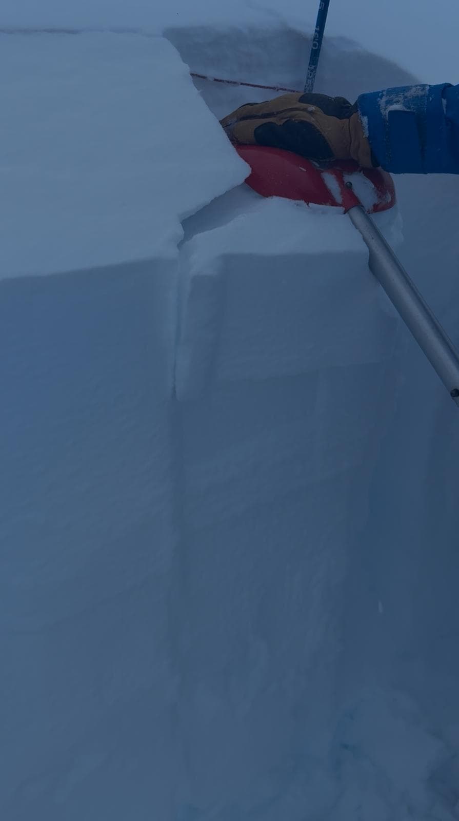 Snowpack tests yielded easy to moderate shears in the new snow.