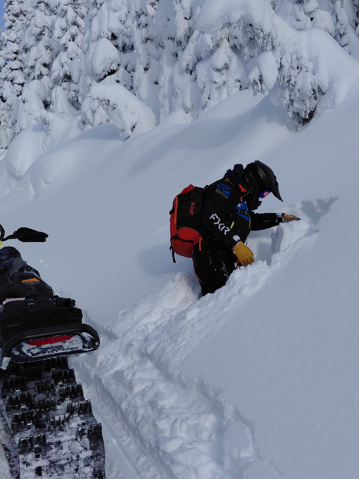 Verify conditions