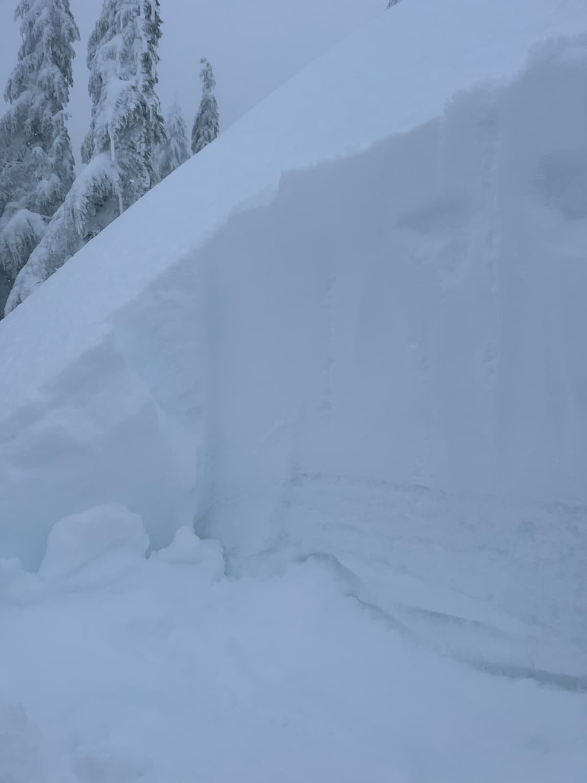 35cm of storm snow sitting on top of a hard crust.  Had to work hard to get it to release, 4 taps from the shoulder. Unable to trigger release by jumping or stomping. . 