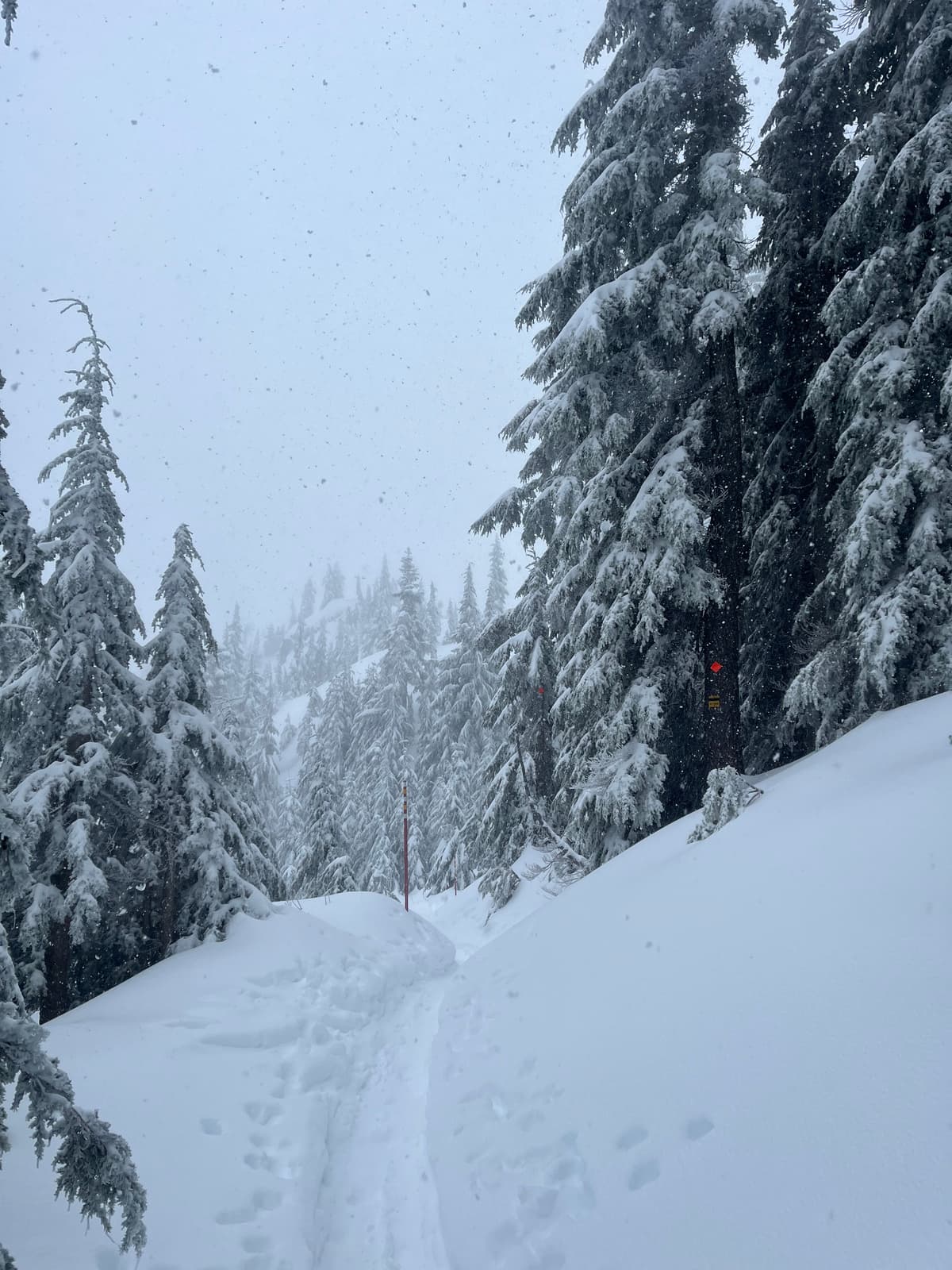 Easy travel on the trail, ski pen approx. 20cm when breaking trail. 