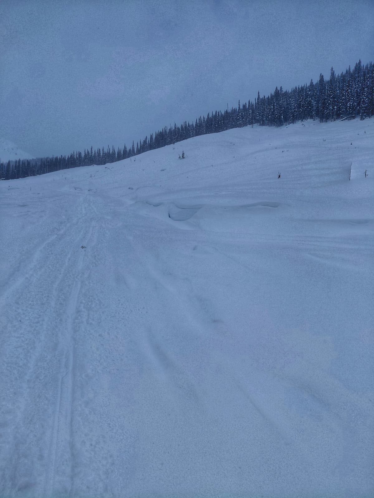 Snow effect down low