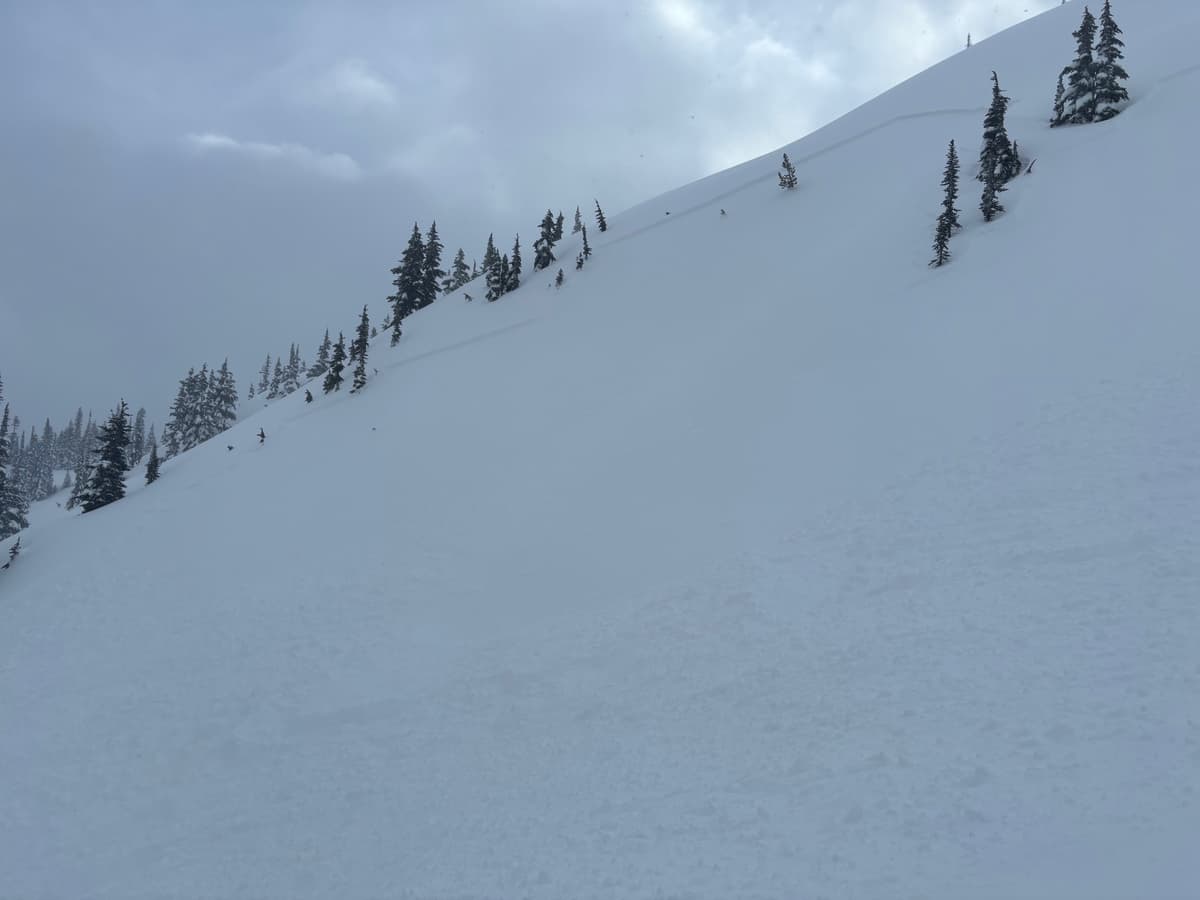 Propagation was the entire length of the ridge from the trigger point…..perhaps 200m.