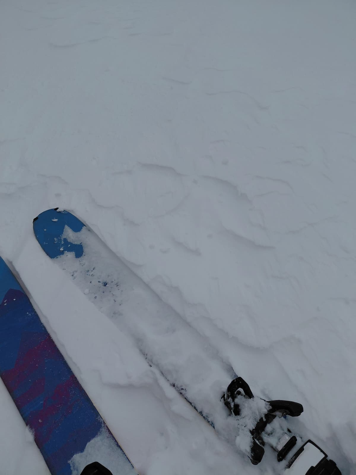 Wind effect on snow