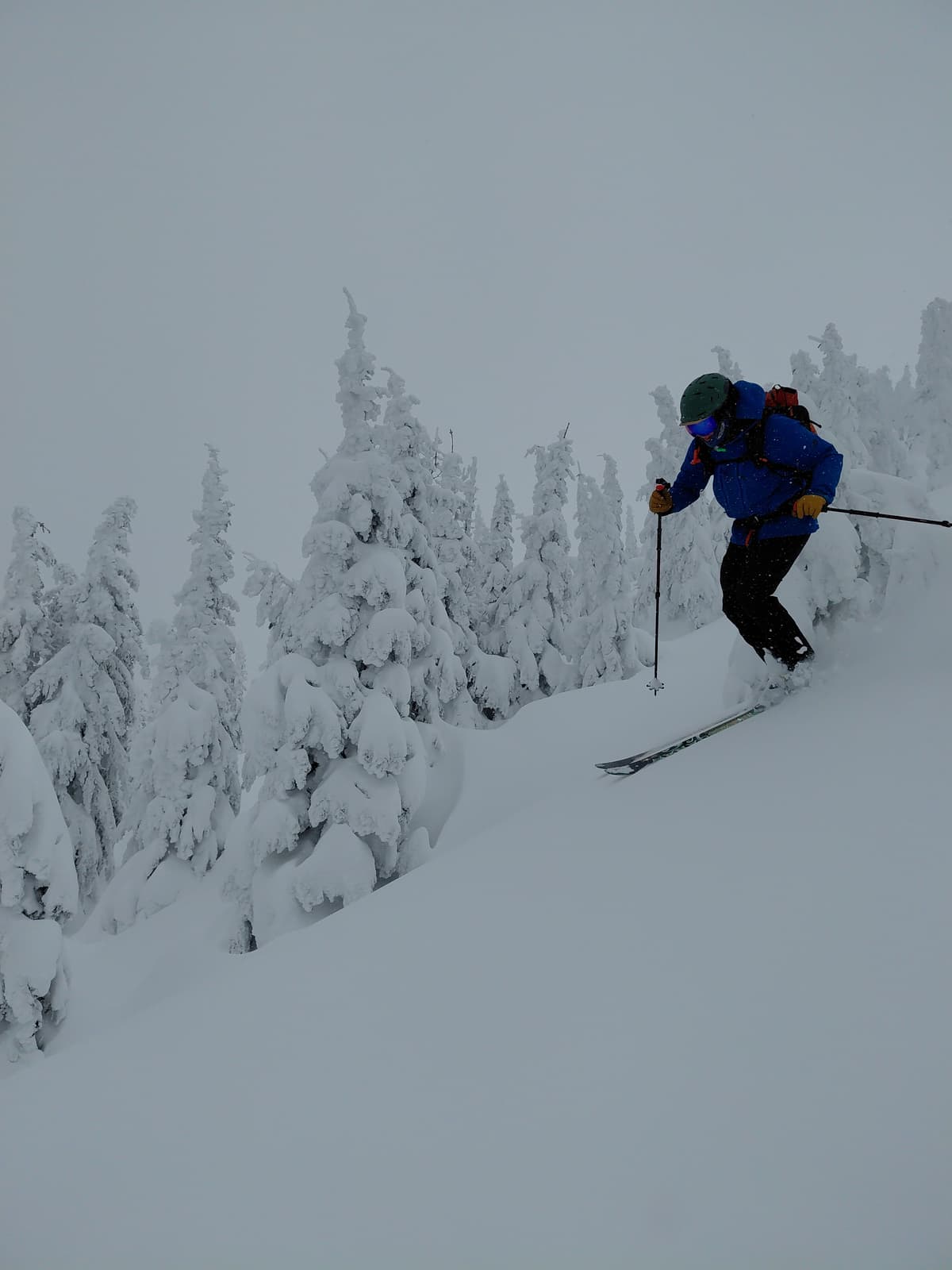 Good skiing in the trees