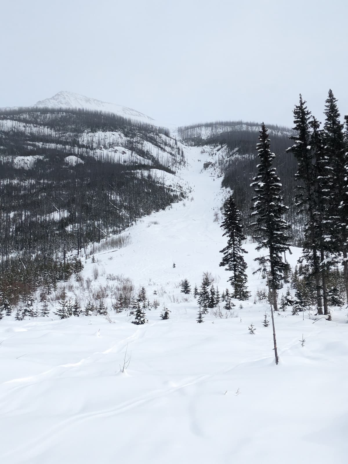 Looking up the Vermilion path