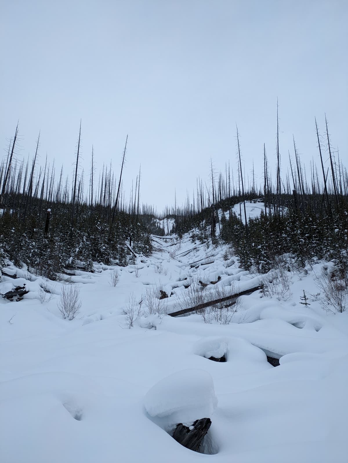 Good snow, bad terrain 