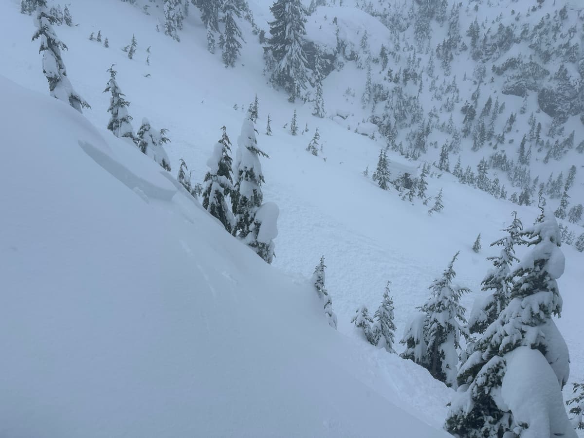 Off a convex roll 2m off the skin track. Just before the fork. 