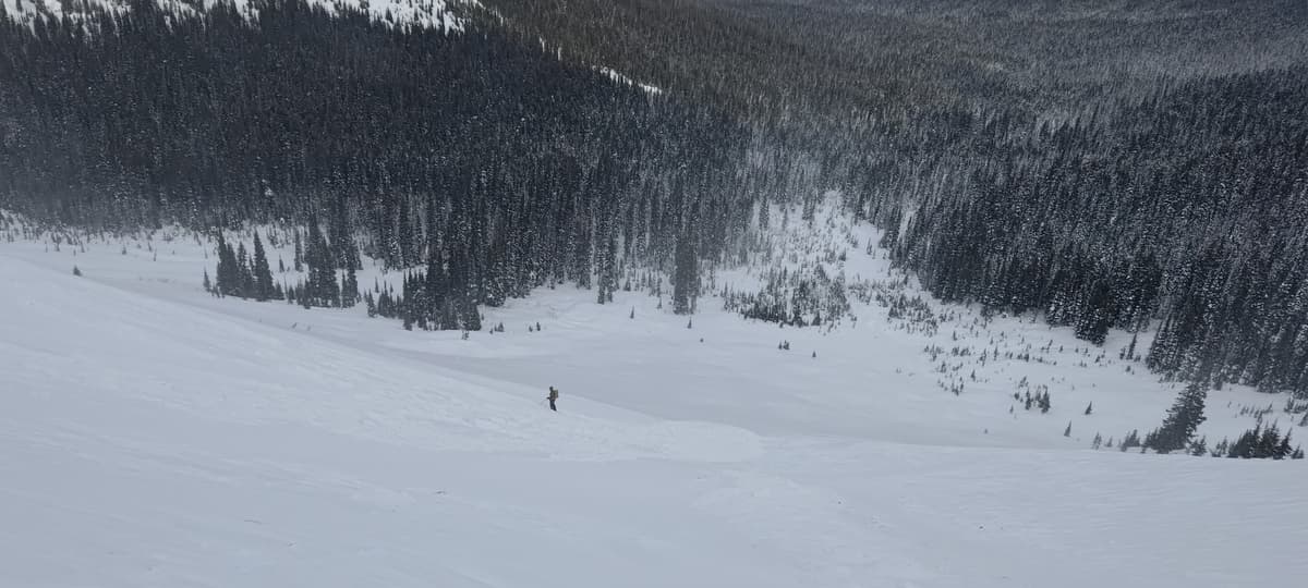 Thin wind slab caught a skier, no injuries or burial