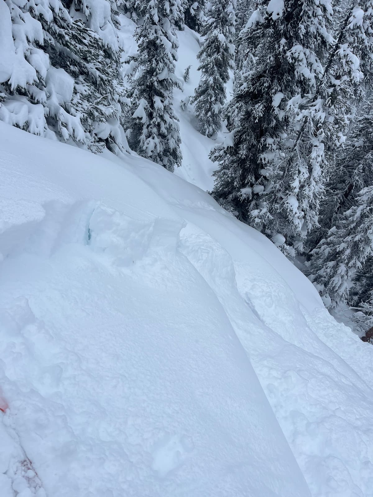 Easy test slope. SH weak layer.