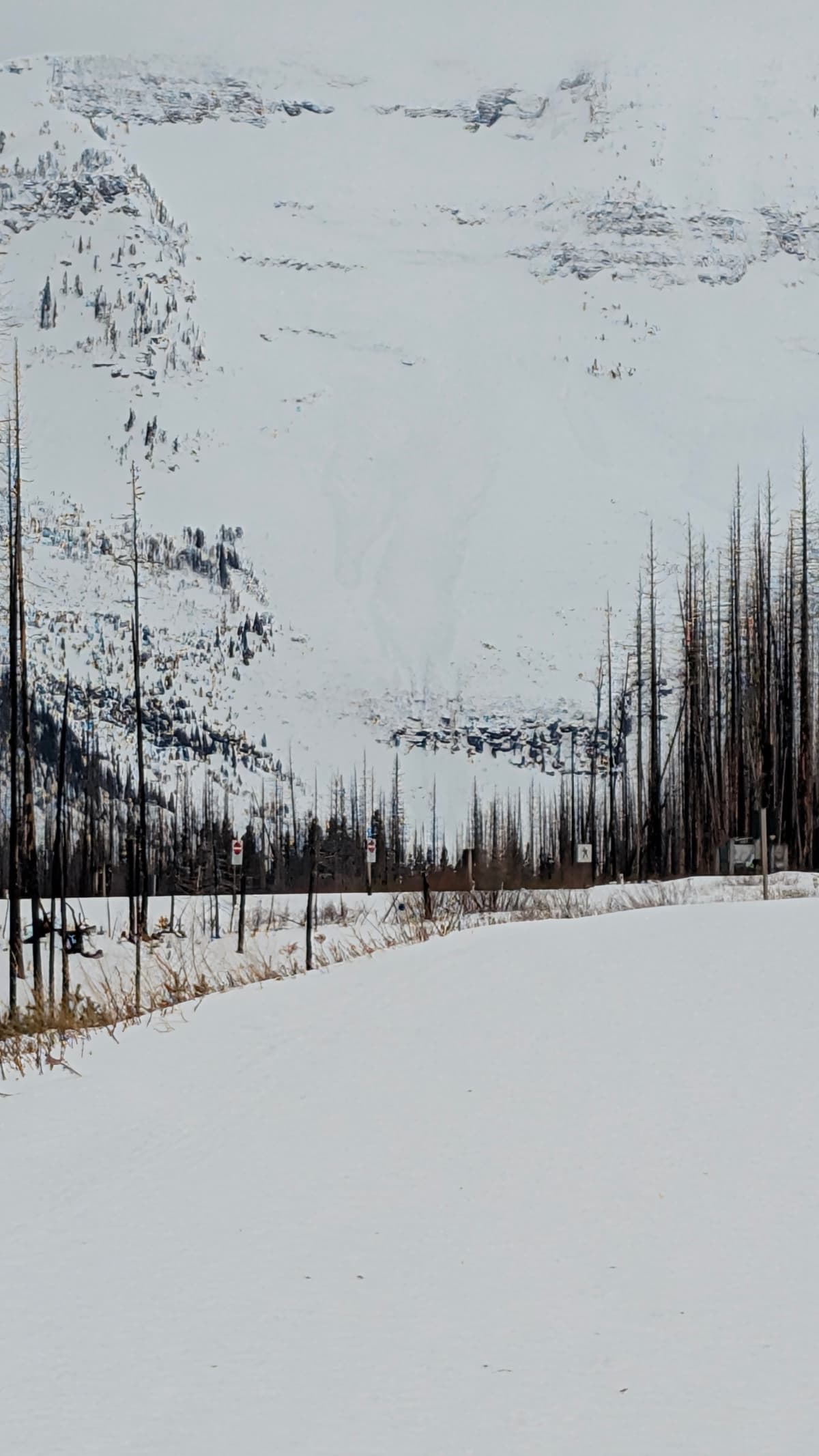 Several natural avalanches on the steep slopes on the S end of the lake.