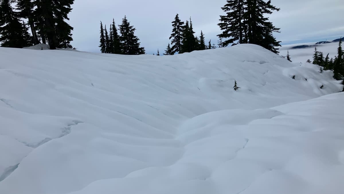 rain runnels and weight of the snow causing it to crack and split even on lower angle terrain