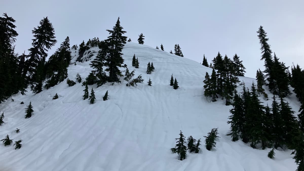 NW aspect