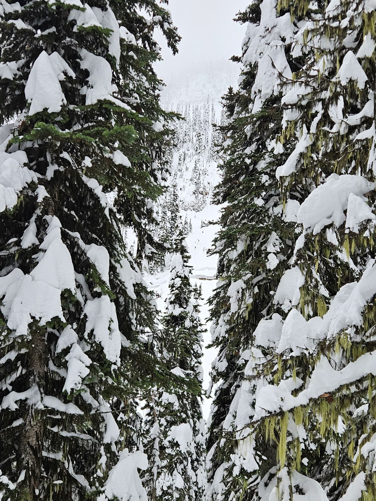 view of slide in chute