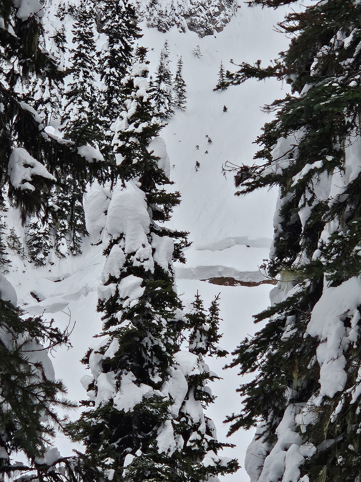 view in slide in chute