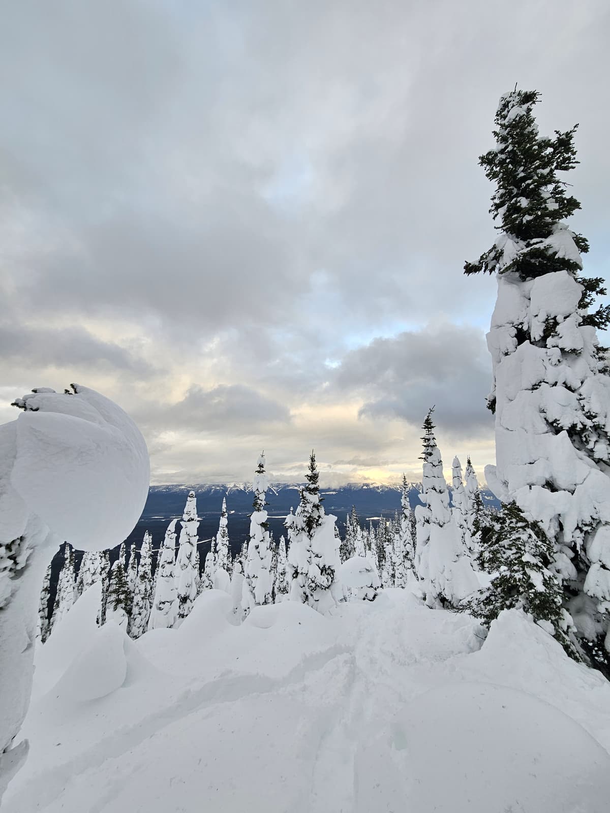 snow at top