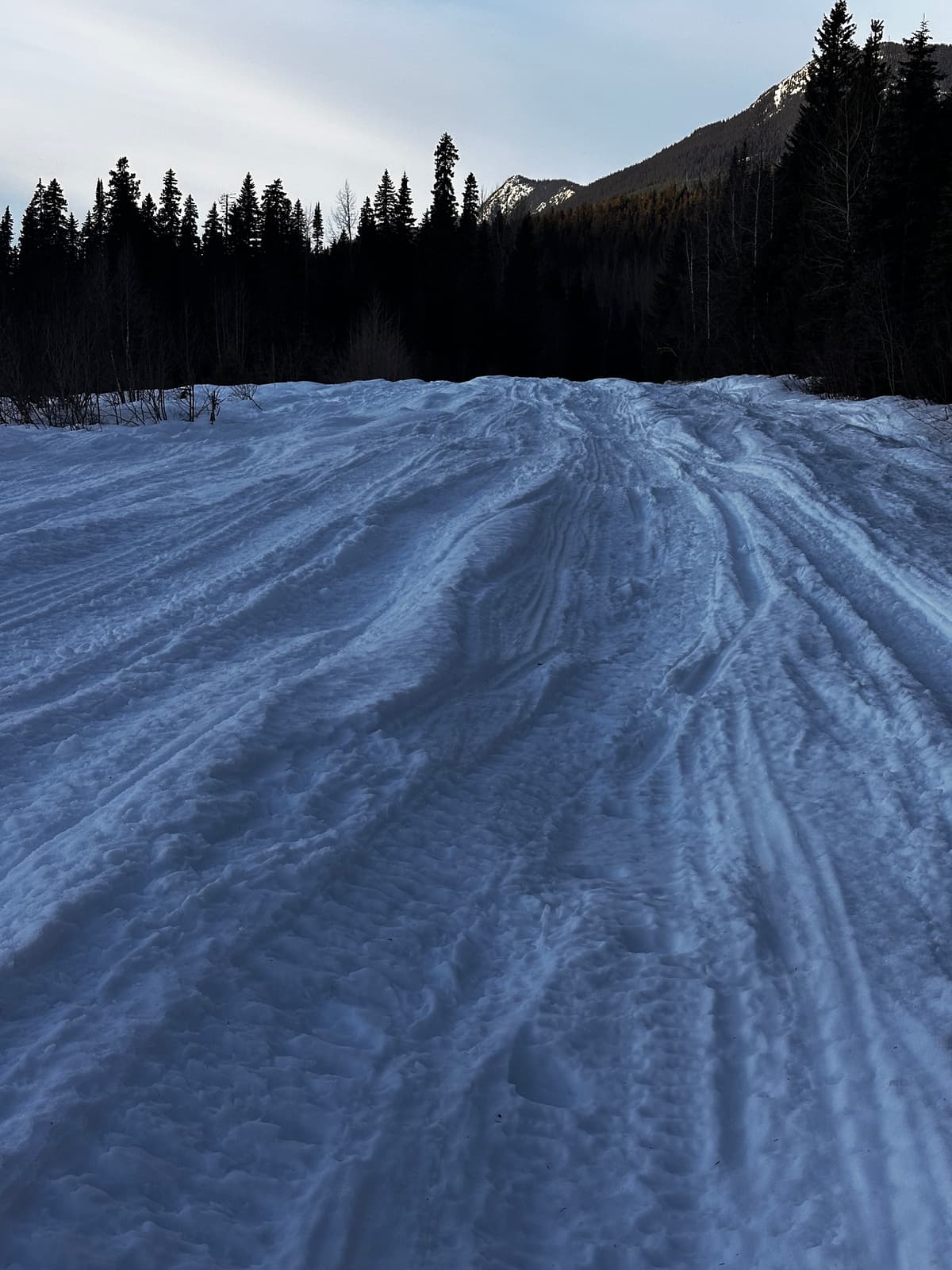 The trail in is icy and rough. Watch out for those ruts from people riding in the slush a few days ago. They can really grab a carbide if you aren't on your A game. 
