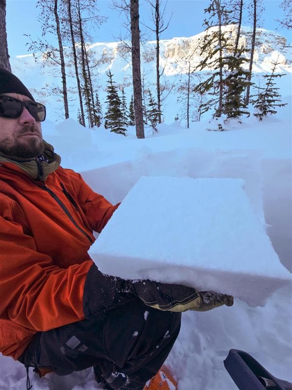 Surface Hoar crystal found 40 cm deep in the snowpack