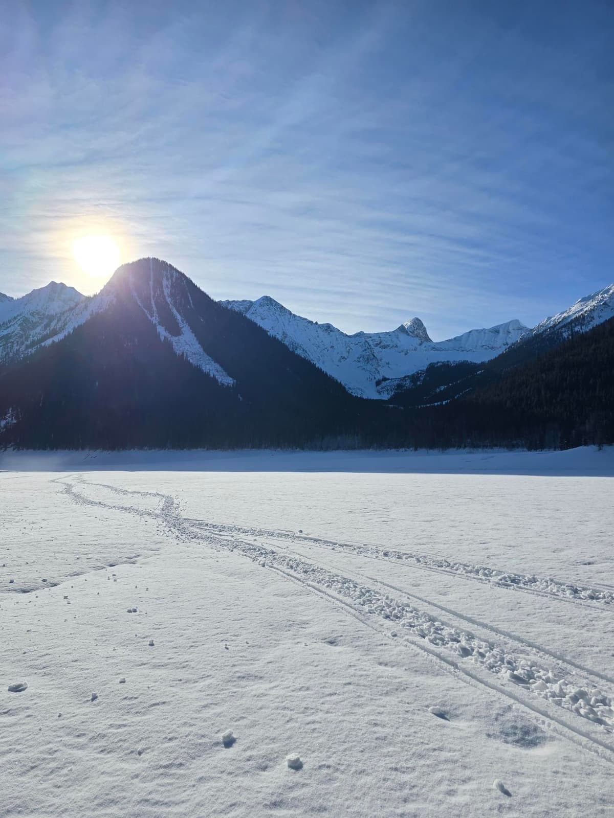 Beautiful bluebird day!