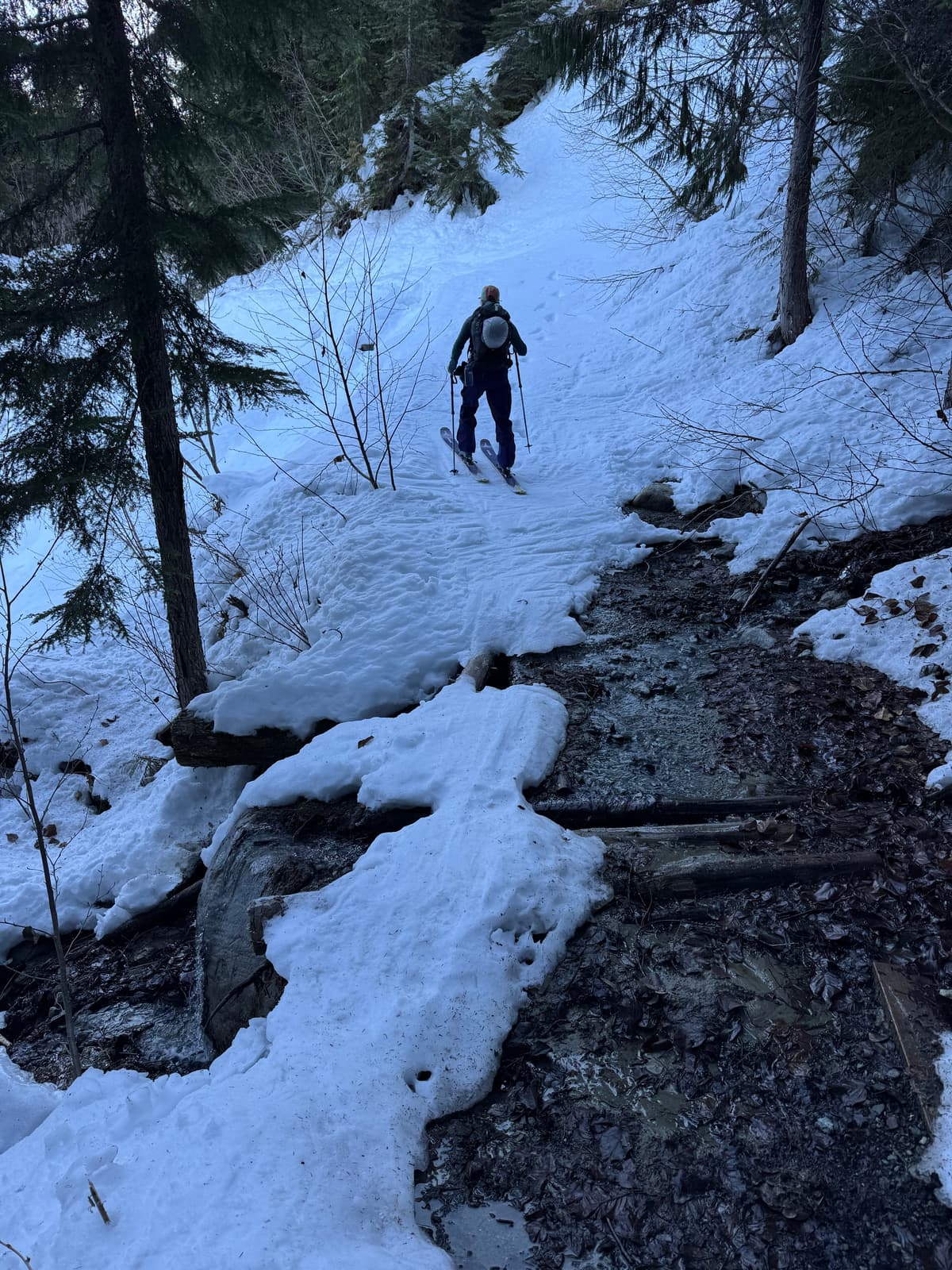 Open sections along many portions of singing pass, especially lower elevation