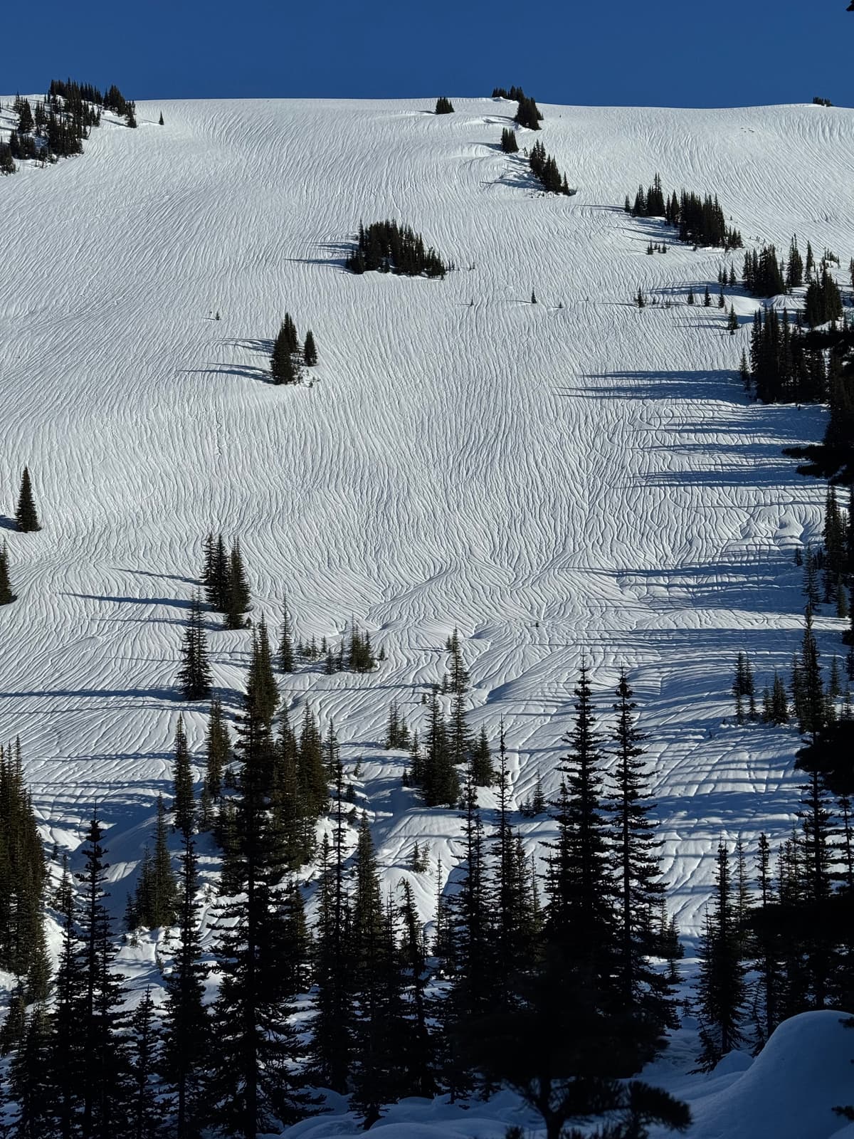 Cowboy Ridge from across the valley. Very runneled from top to bottom and on all aspects 