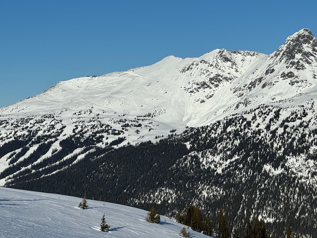 Looking at 7th heaven. Old debris just at the edges of inbounds ski area on south facing aspect
