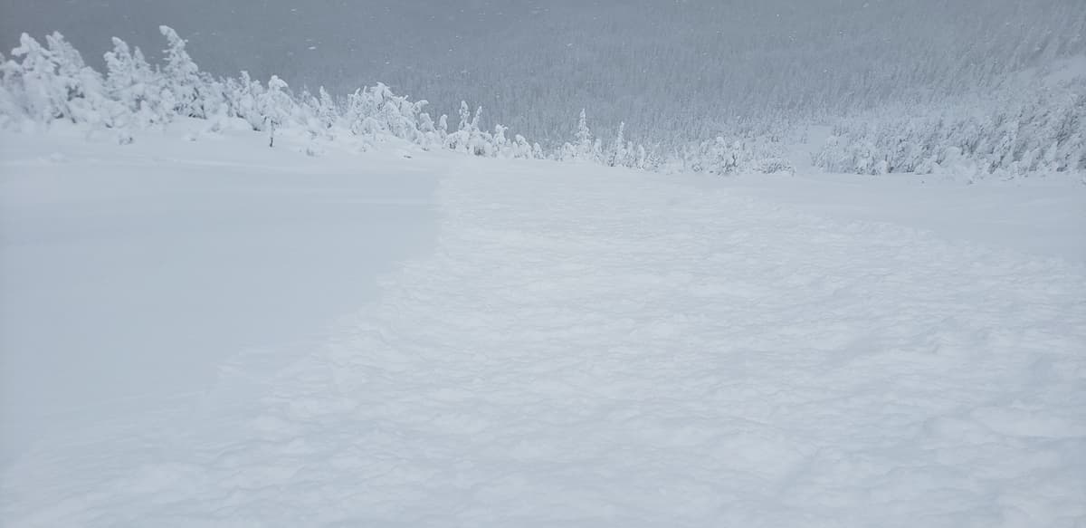 plusieurs avalanche  remarquable  pendant  la montée  du trolls. ds les grande ouverture  langue du trolls  /colone du trolls et troleuse plaque de  neige instable  a quelques  endroit  avalanche déclenché  