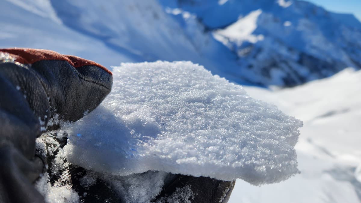 Surface hoar on a melt-freeze crust, which will be the future avalanche problem once it snows again