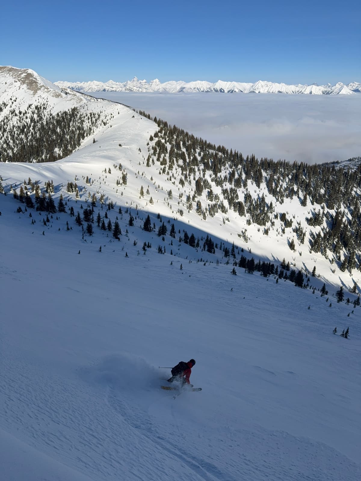 Fun & soft ski turns were found.