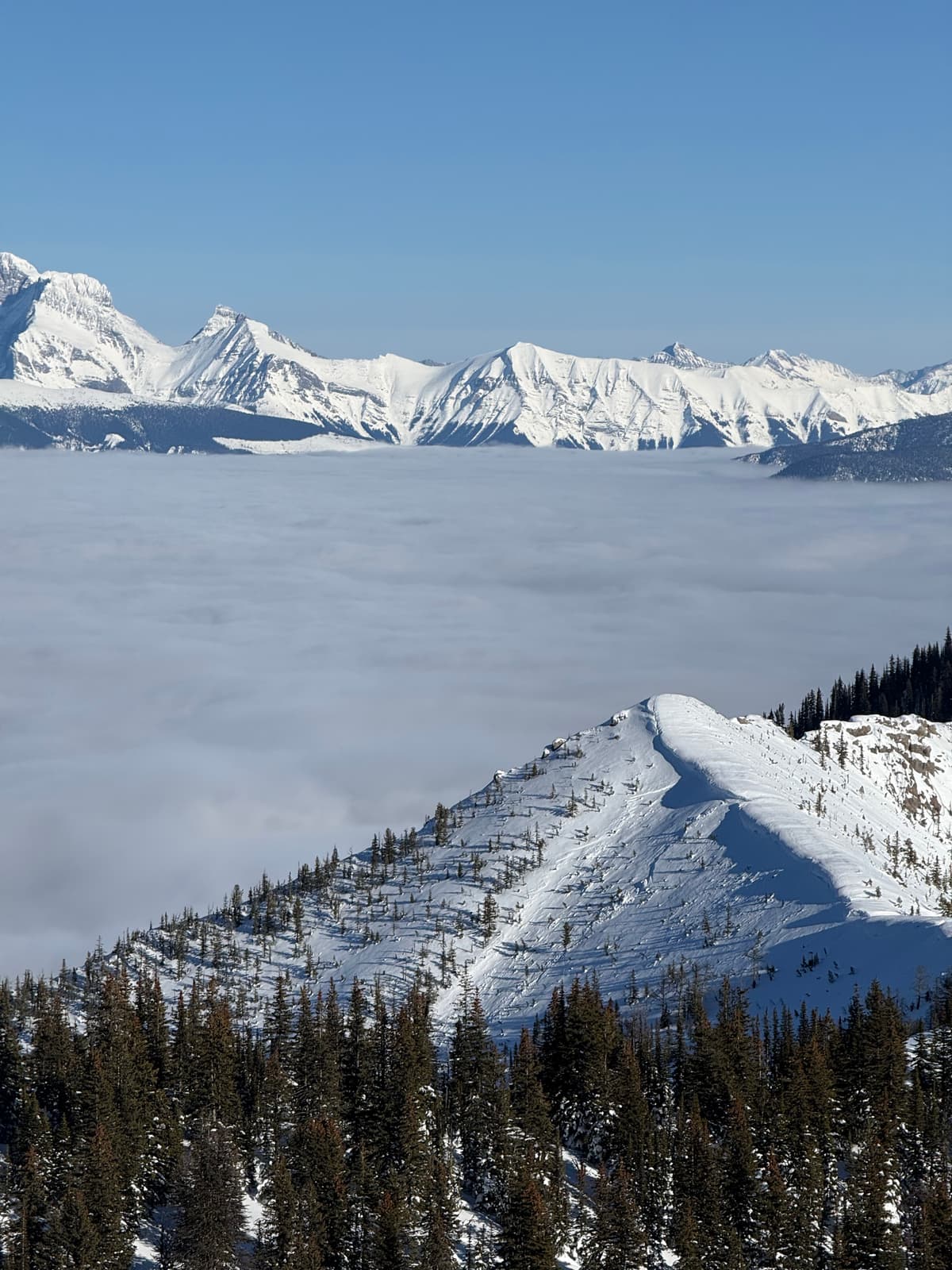 Nice to be above the valley cloud. Check out the old avalanche in the foreground. Not sure when that would have run, but it gave us pause while skiing a similair feature.