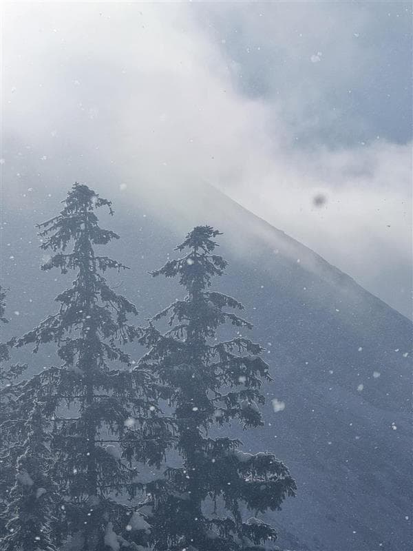 Light snow with occasional sunny breaks was the theme today.