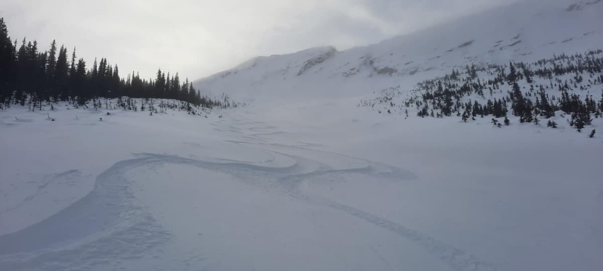Creamy goodness in the north path. 