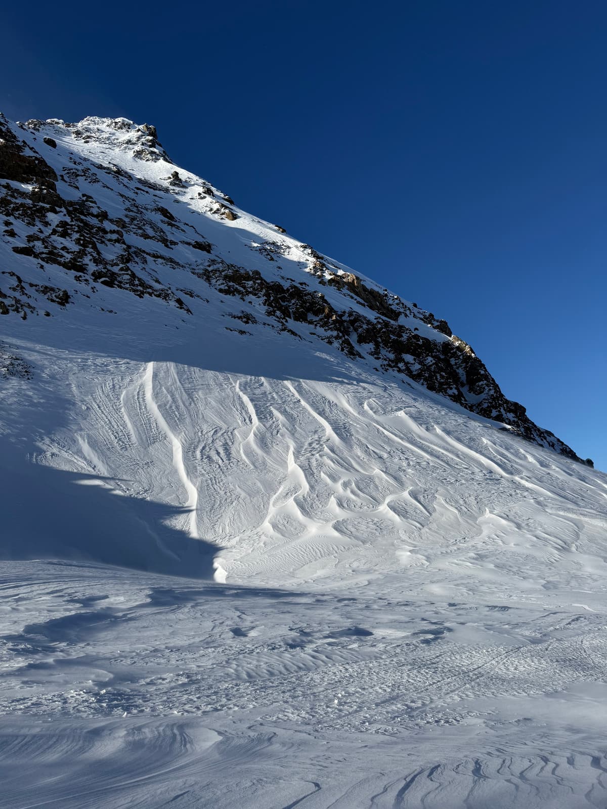 It made a bit of a mess of the alpine, but, it did blow away a lot of surface hoar up high too.