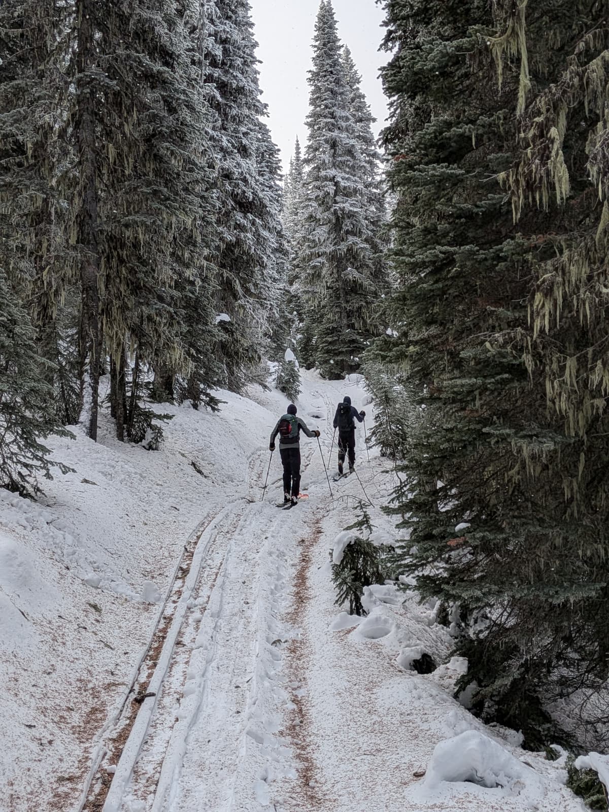 We skinned up the Old Glory trail and then joined the Seven Summits trail