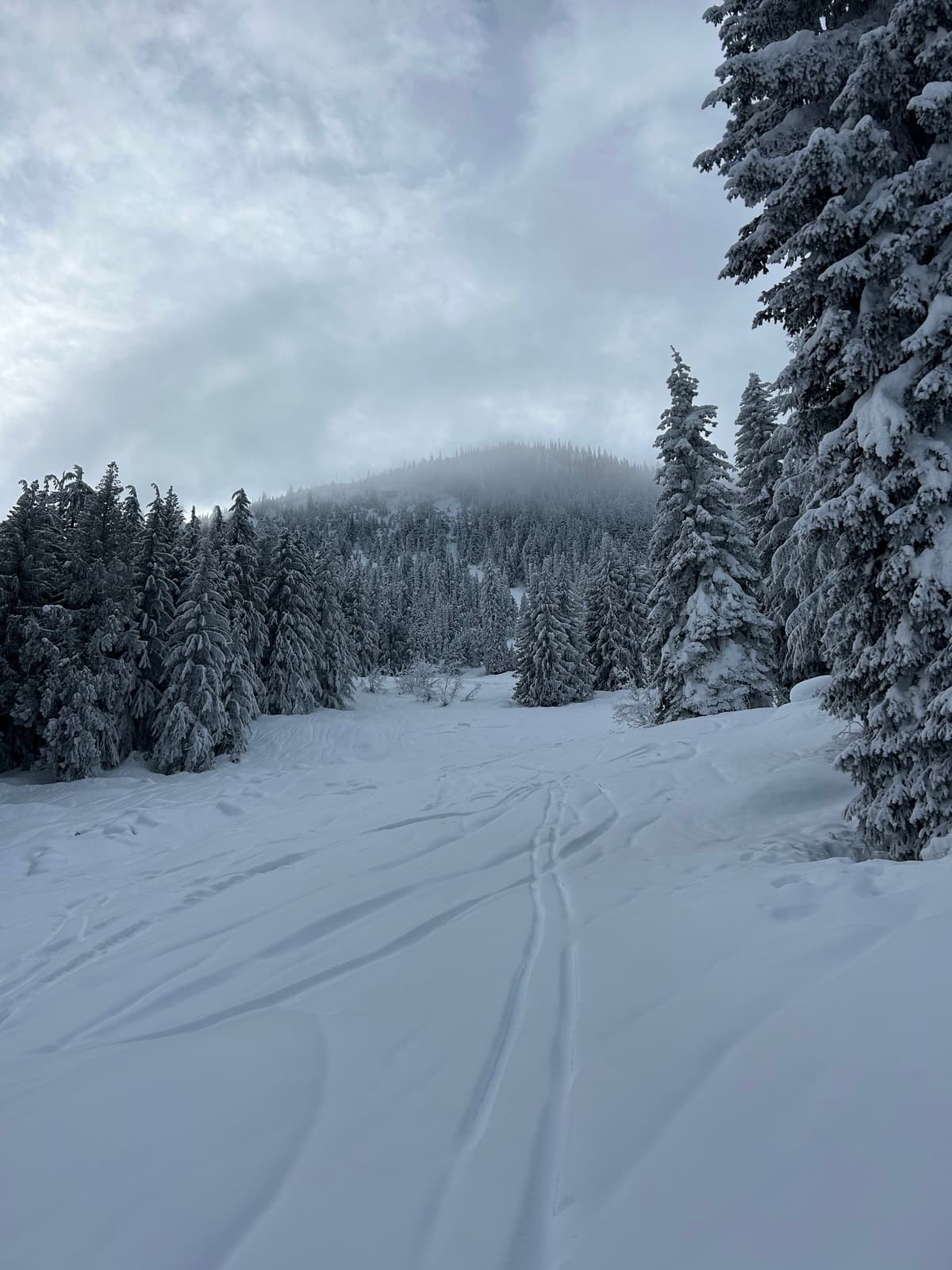 Both photos taken at approximately 1100m of elevation, where the crust became thicker/you sink into it more.