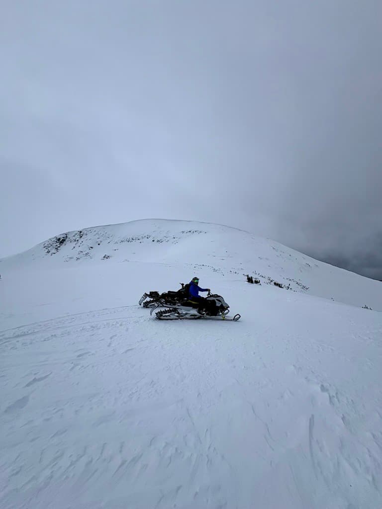 Alpine is heavily wind scoured