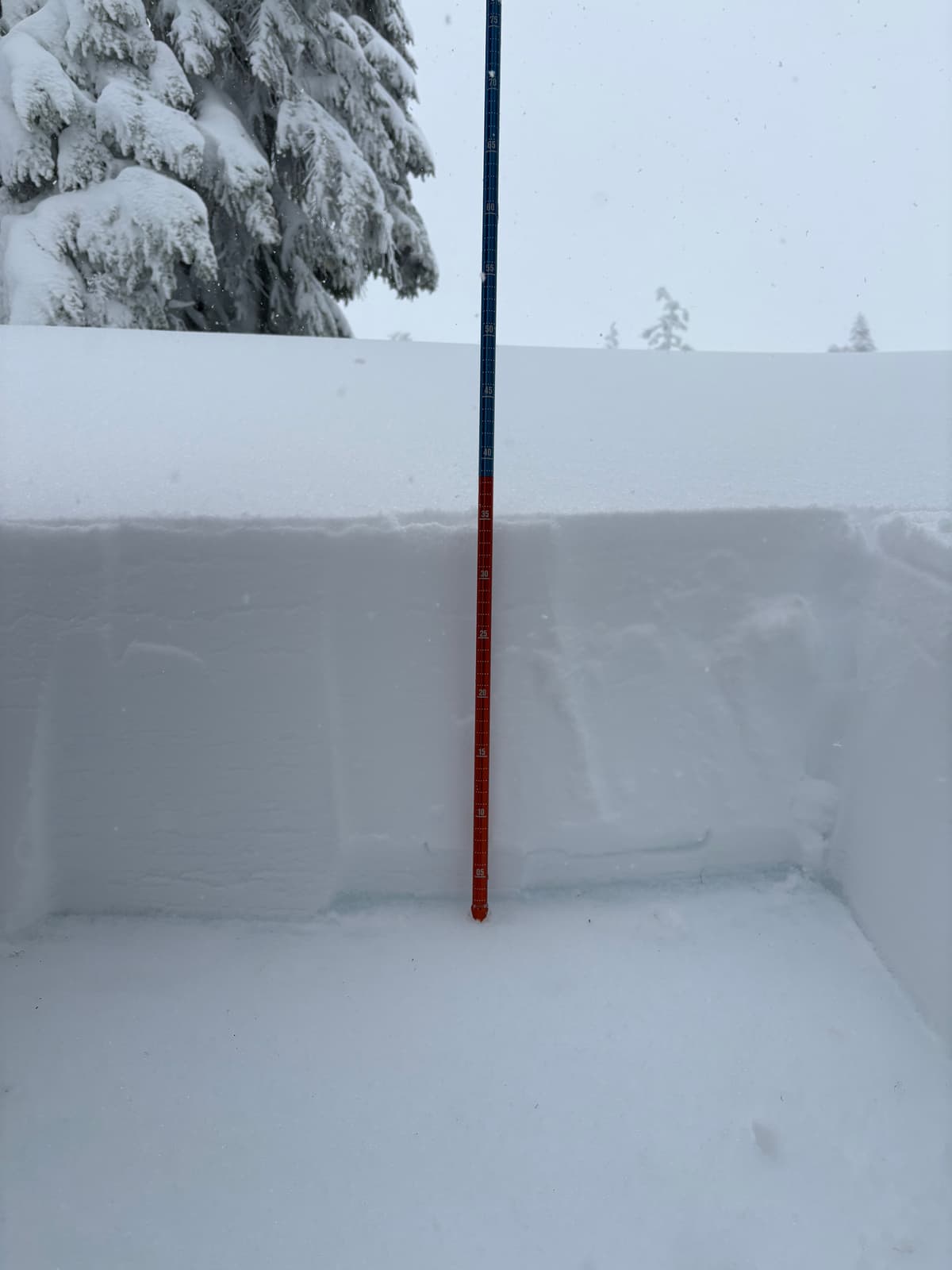40 cm of new snow is well bonded to the crust below at treeline